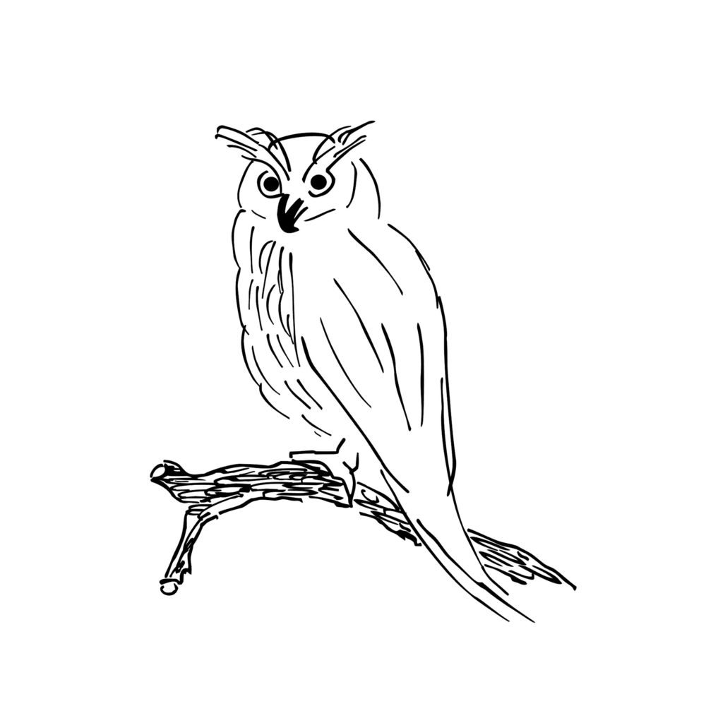 eule